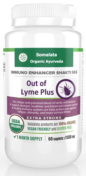 Out Of Lyme